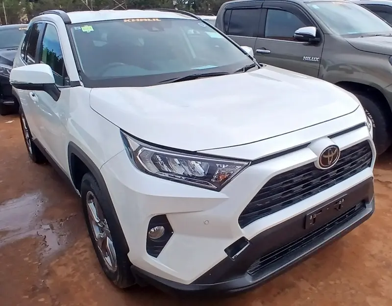 2019 Toyota RAV4